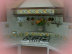 siciliabazar022005.jpg
